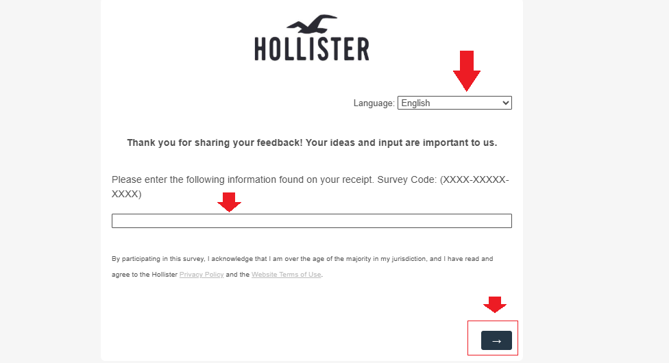 Hollister-Survey